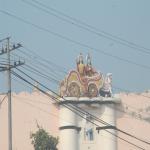 Vraj-Yatra-2014- (247)